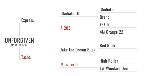 Unforgiven's Pedigree Chart